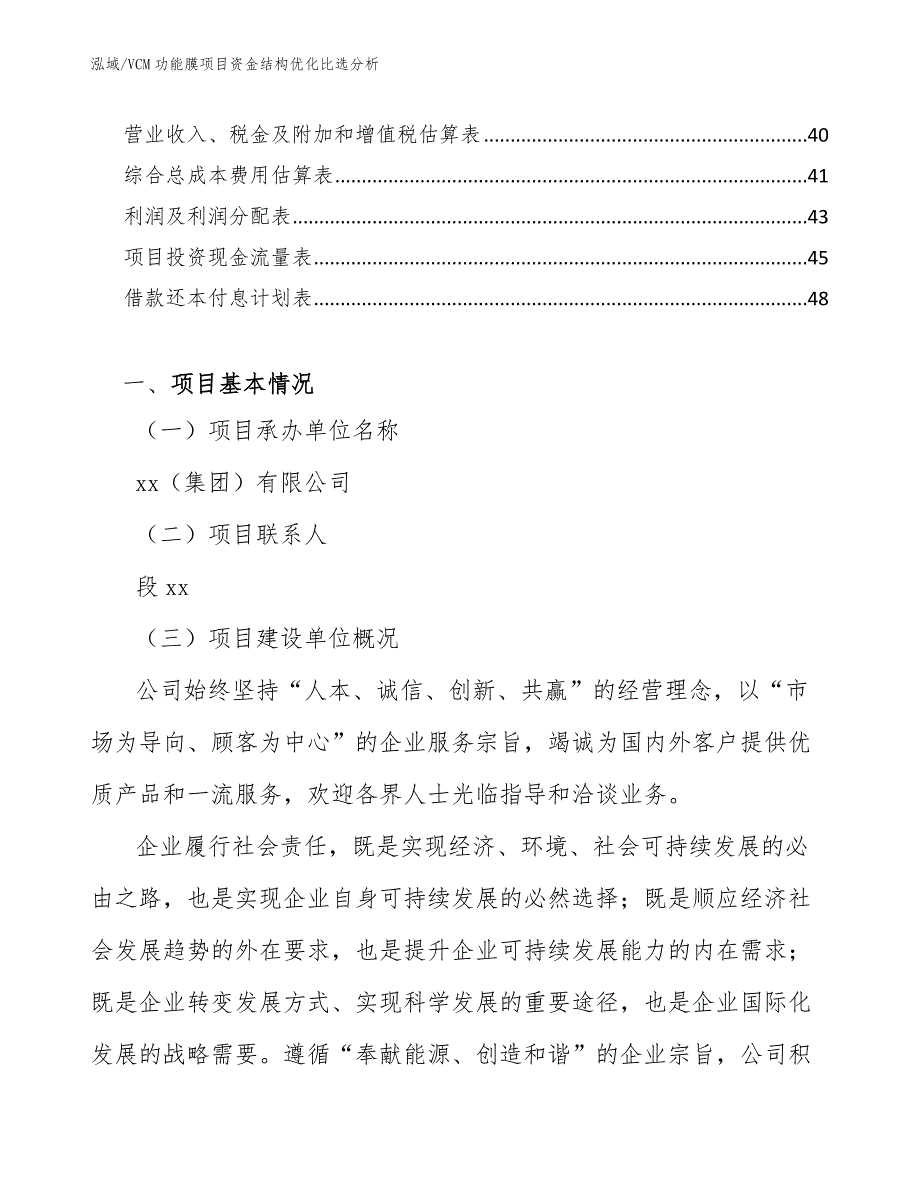 VCM功能膜项目资金结构优化比选分析_参考_第2页