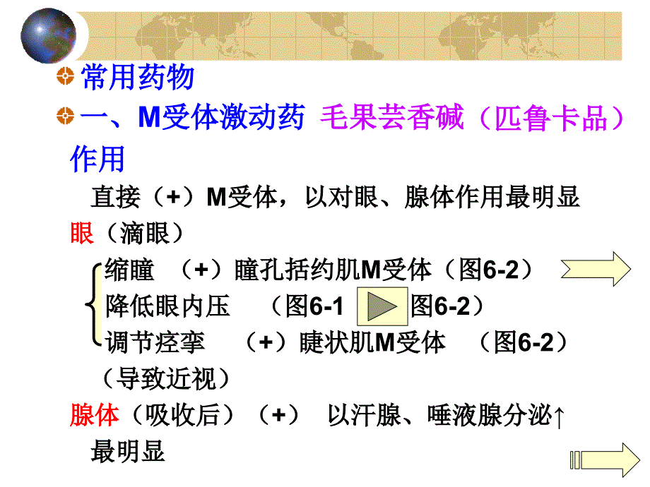 第六章胆碱受体激动药和作用于胆碱酯酶药_第3页