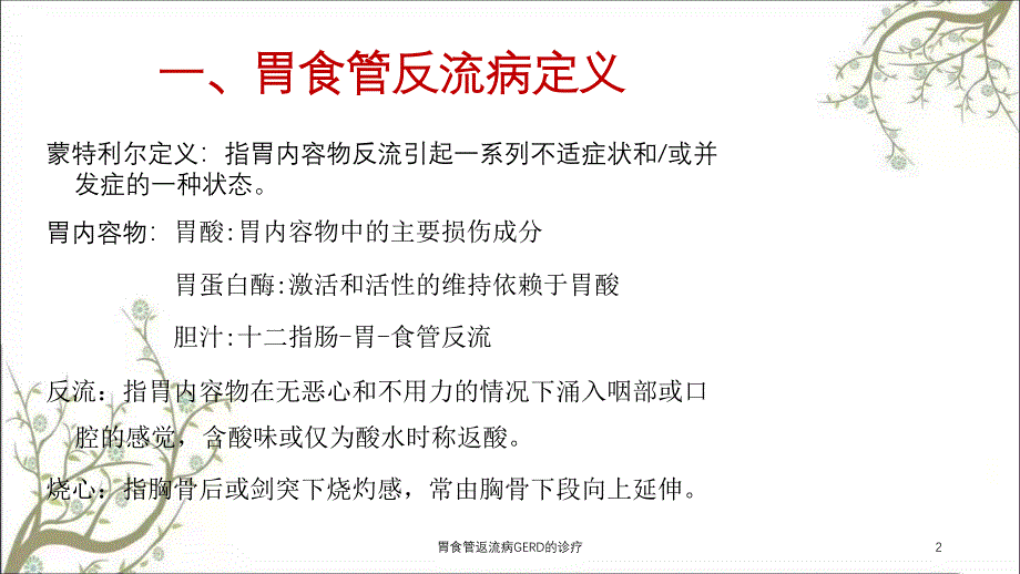 胃食管返流病GERD的诊疗课件_第2页