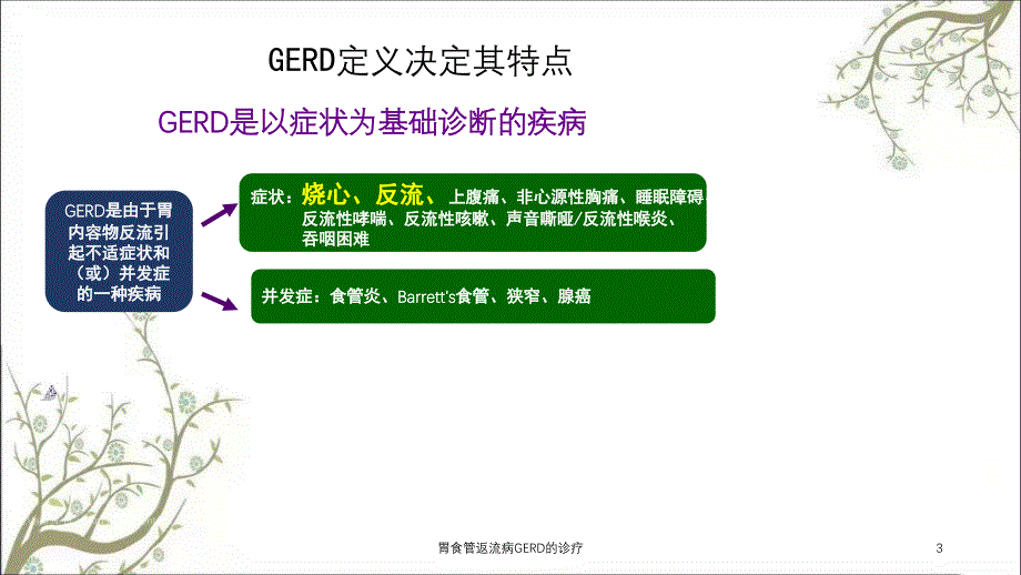 胃食管返流病GERD的诊疗课件_第3页