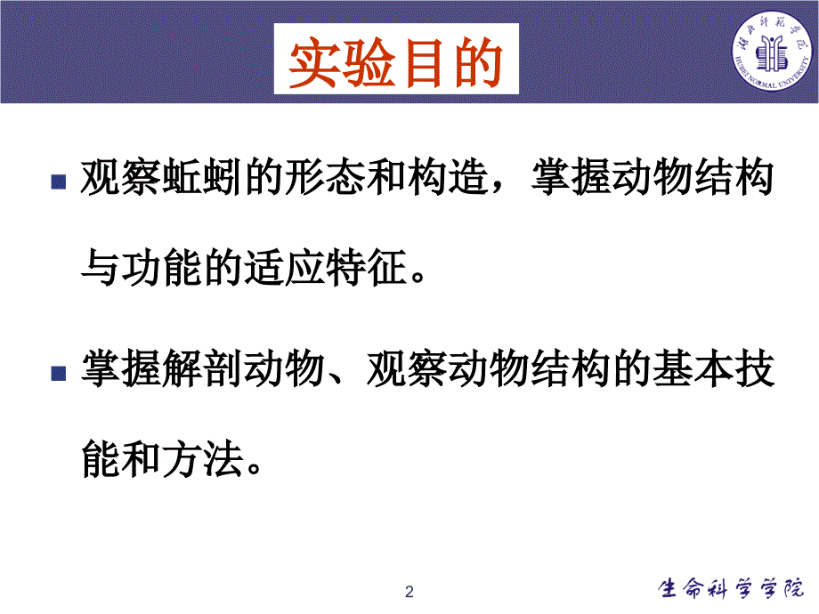 蚯蚓的观察与解剖【特制材料】_第2页