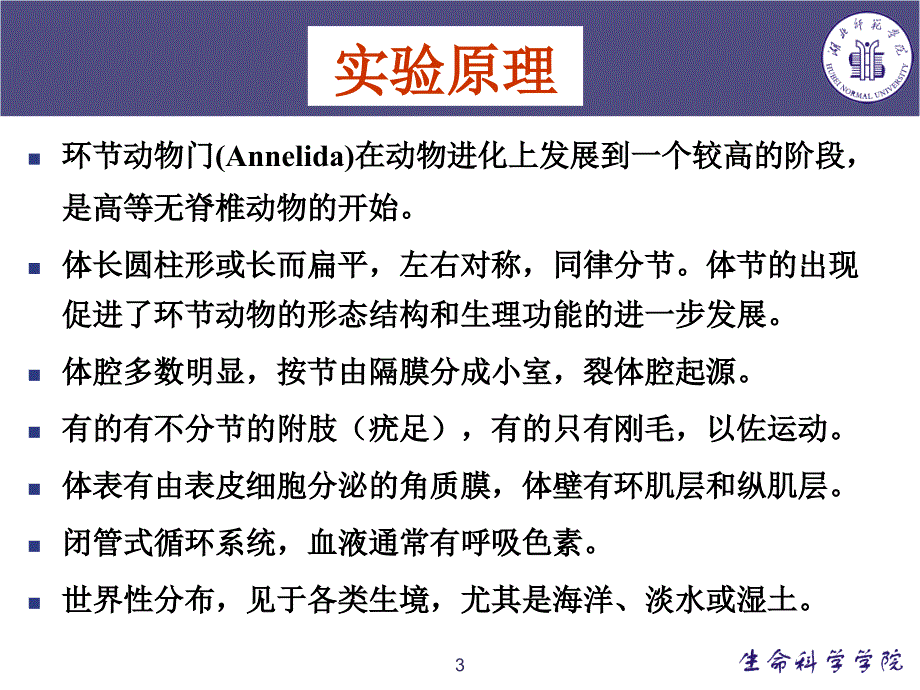 蚯蚓的观察与解剖【特制材料】_第3页