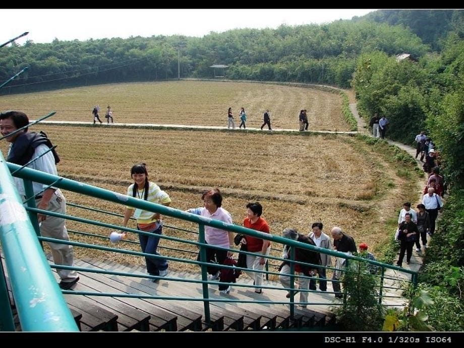 九月九日忆山东兄弟 (2)_第5页