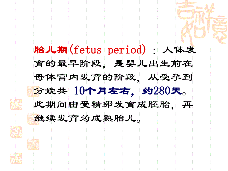 《胎儿期发育》PPT课件_第2页