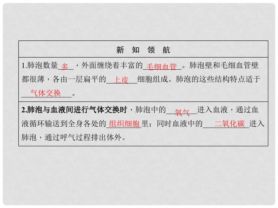 七年级生物下册 3.2 发生在肺内的气体交换（第2课时 肺泡与血液的气体交换）课件 （新版）新人教版_第2页