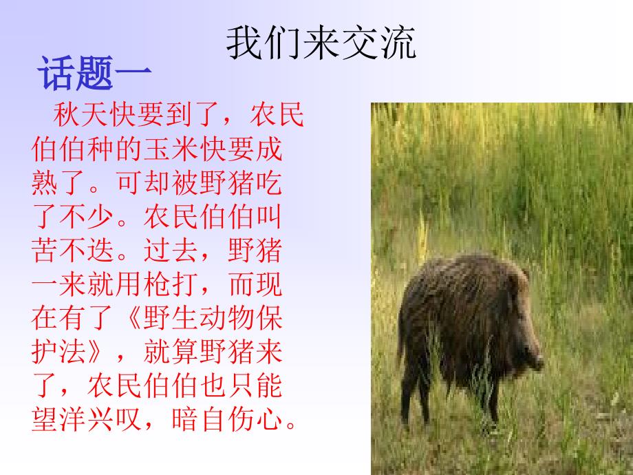 苏教版四年级下册第六单元习作六ppt.ppt_第4页