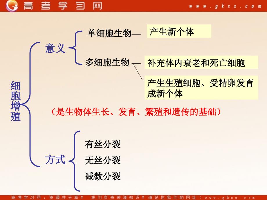 高中生物《细胞增殖》课件4（15张PPT）（苏教版必修1）_第3页