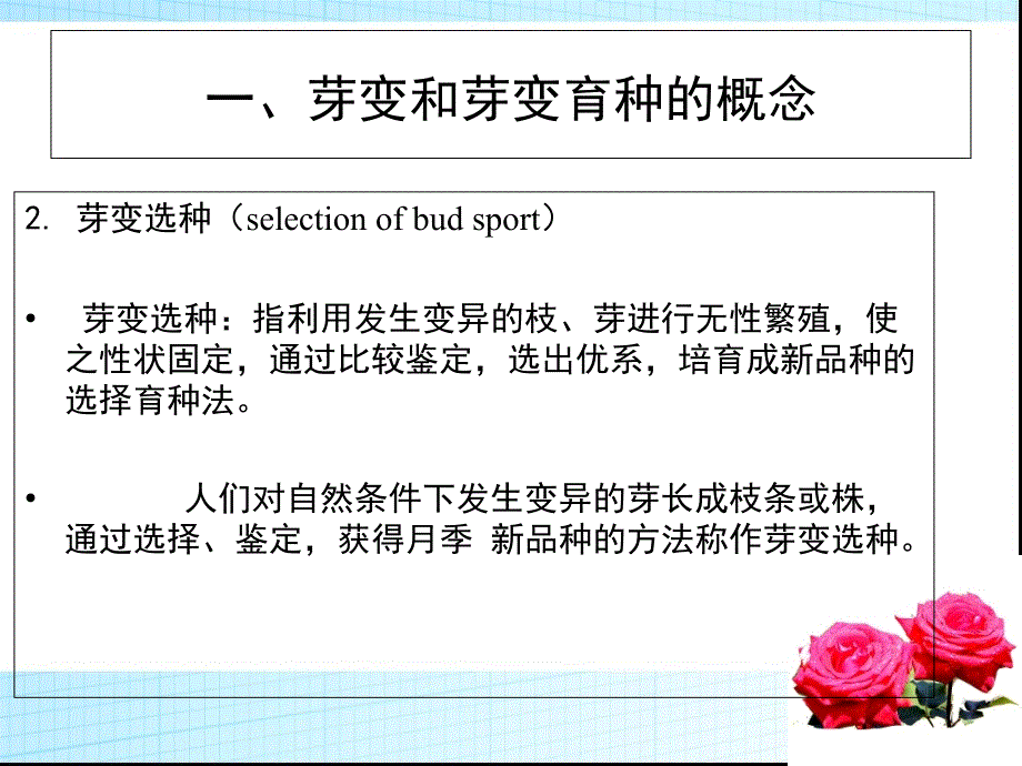 月季的芽变选种分析_第3页