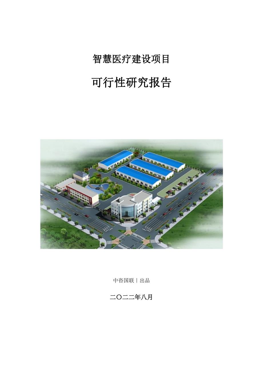 智慧医疗建设项目可行性研究报告_第1页