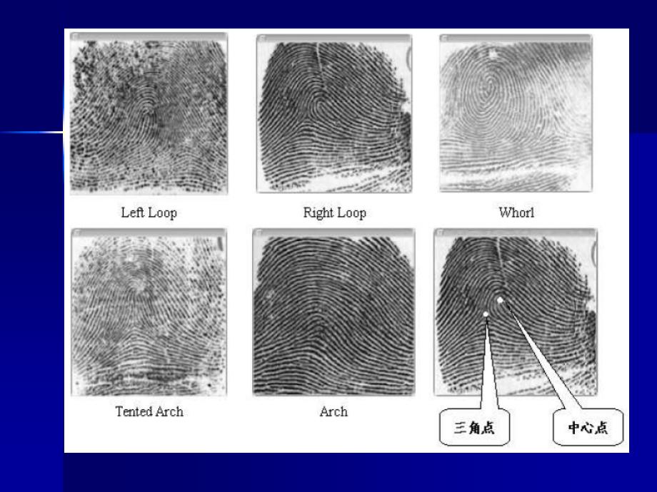 第4章 指纹特征的提取_第4页
