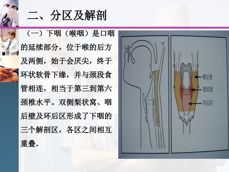 150903下咽癌基本知识_第4页