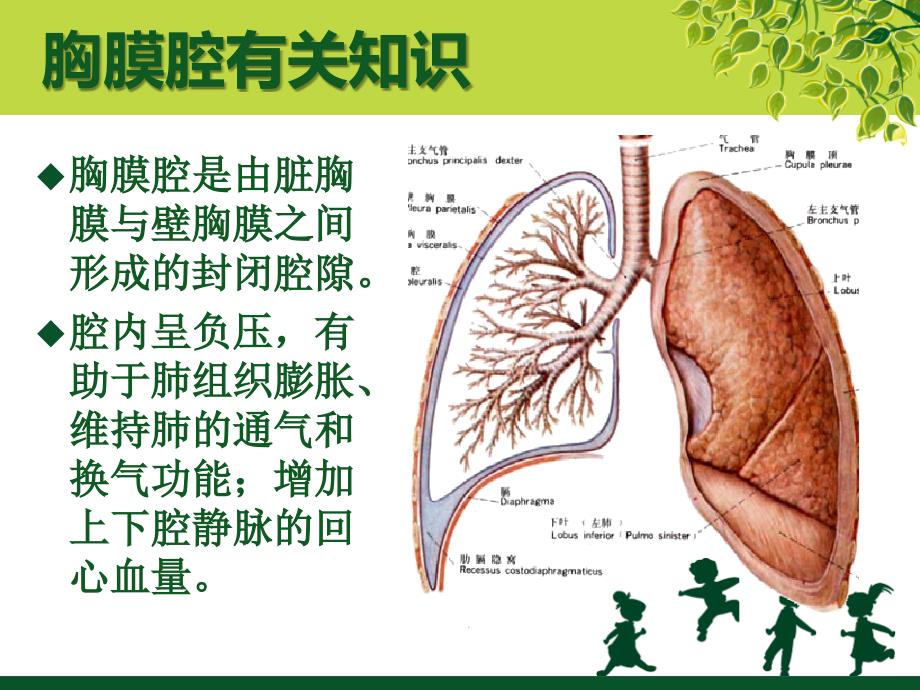 胸腔闭式引流及护理_第3页