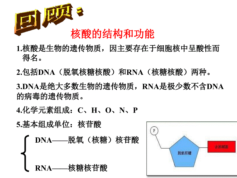 DNA分子的结构与复制一轮复习_第2页