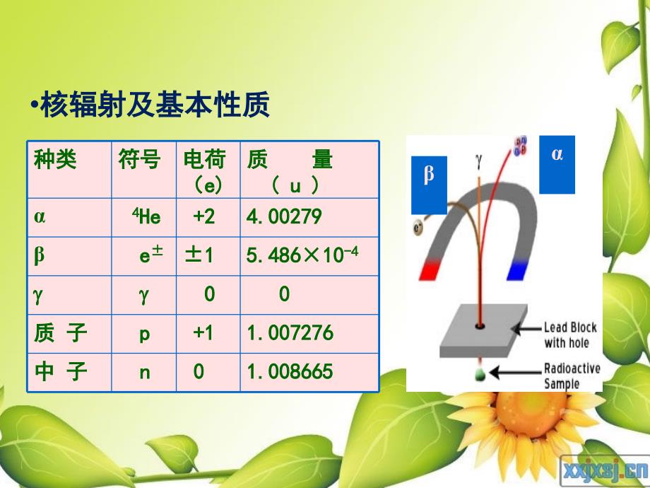 辐射安全手册(完整)_第4页