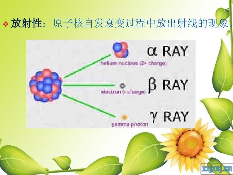 辐射安全手册(完整)_第5页