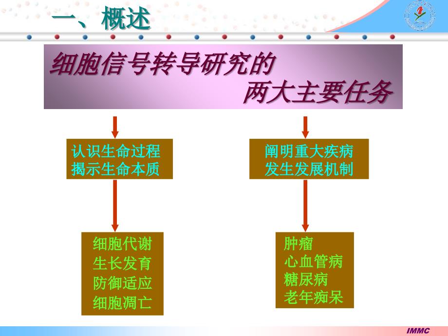 疾病的分子机制-细胞信号转导异常_第4页