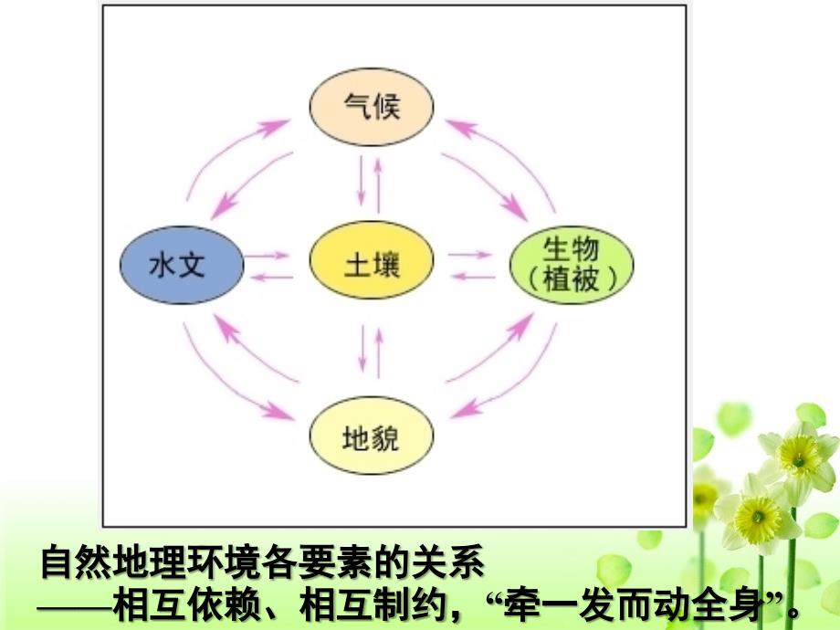 自然地理环境要素变化与环境变迁(课堂PPT)_第4页