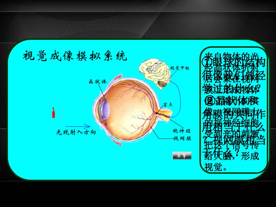 人教版八年级物理上册5.4眼睛和眼镜共22张PPT_第4页