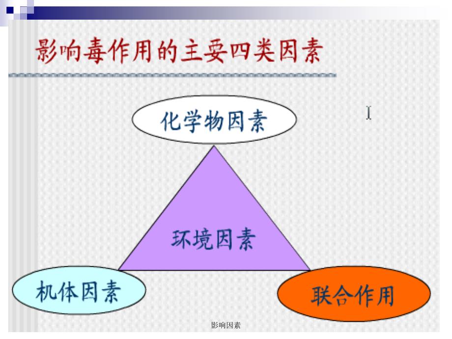 影响因素课件_第4页