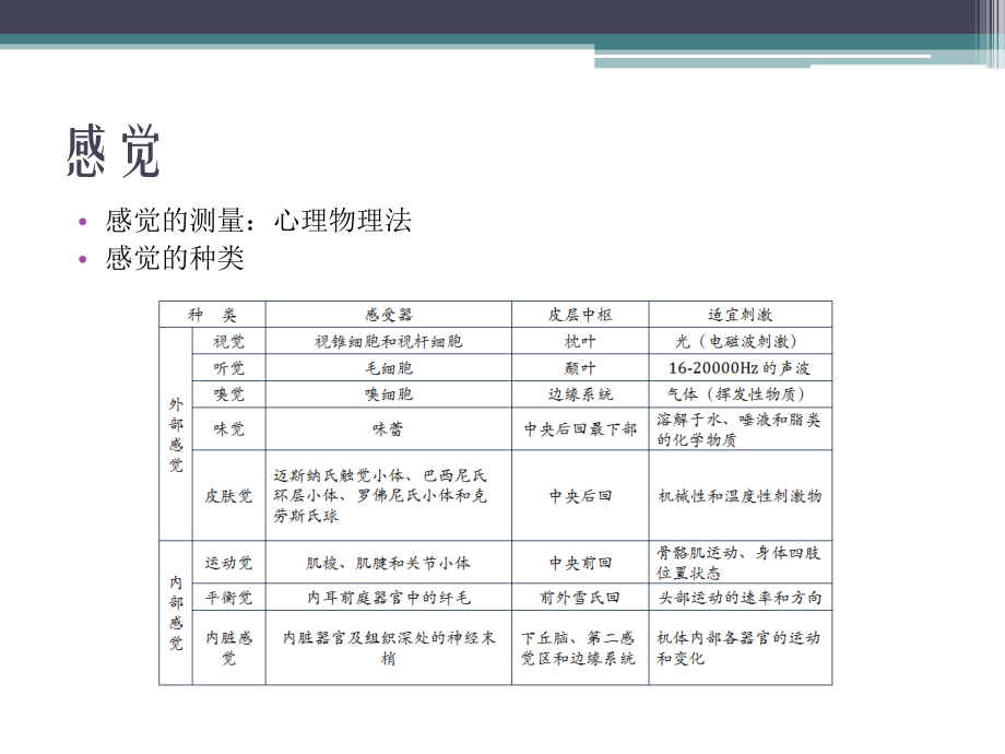 实验心理学第九讲_感觉与知觉课件_第2页