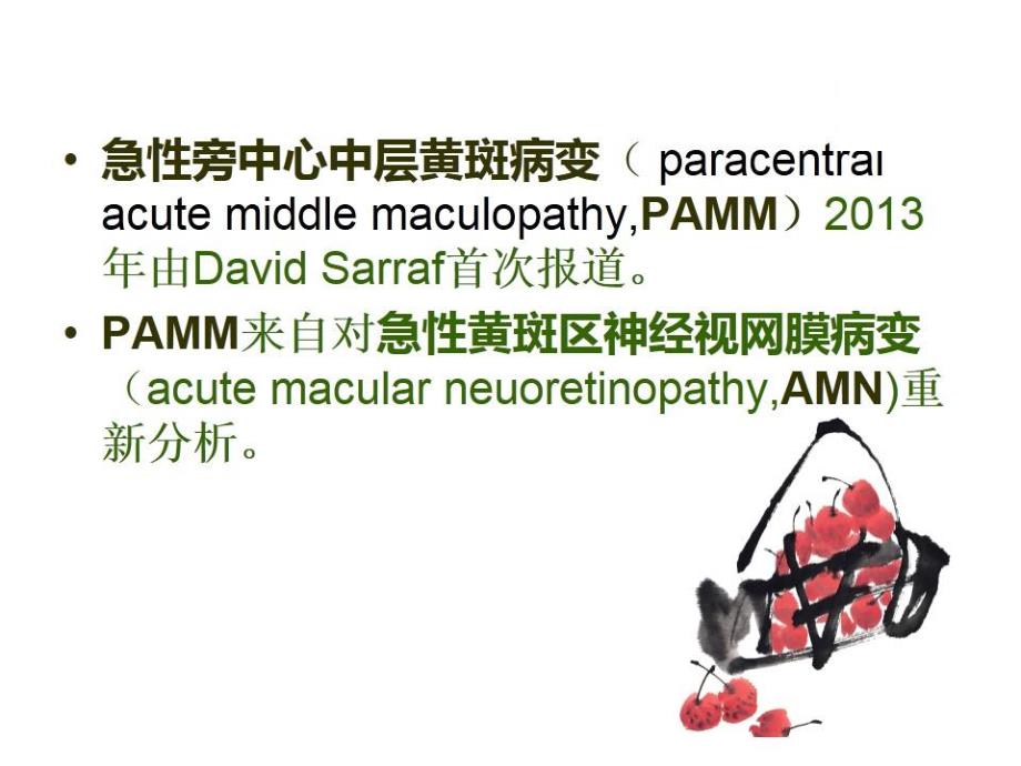 急性旁中心中层黄斑病变(PAMM)与急性黄斑神经视网膜病变(AMN)课件_第2页
