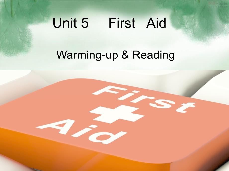 Unit5Firstaid教学课件_第2页