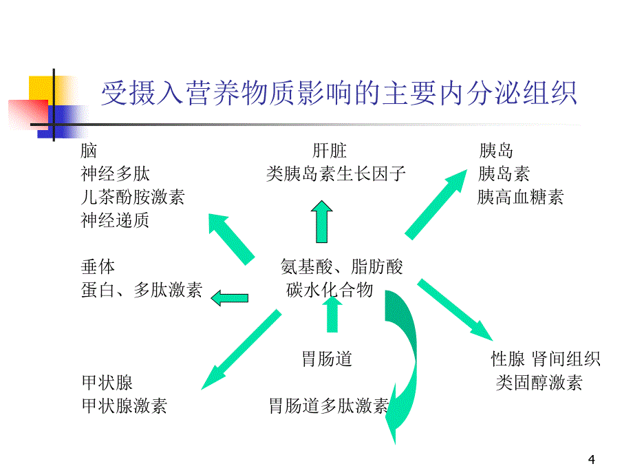 营养与内分泌激素_第4页