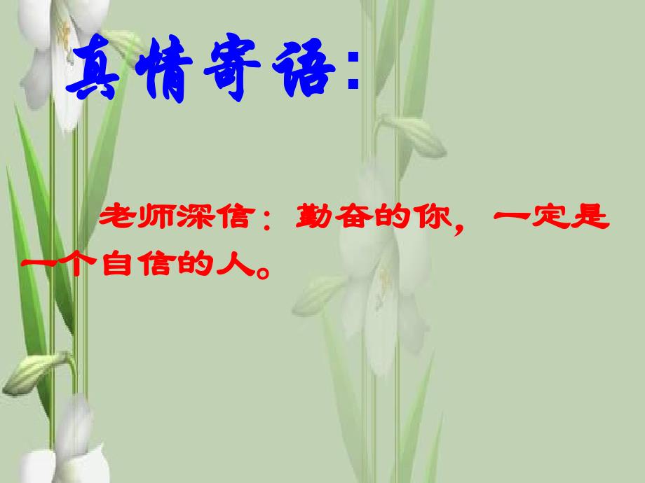 济南版七年级上册生物：第四节-生物学的研究工具课件_第1页