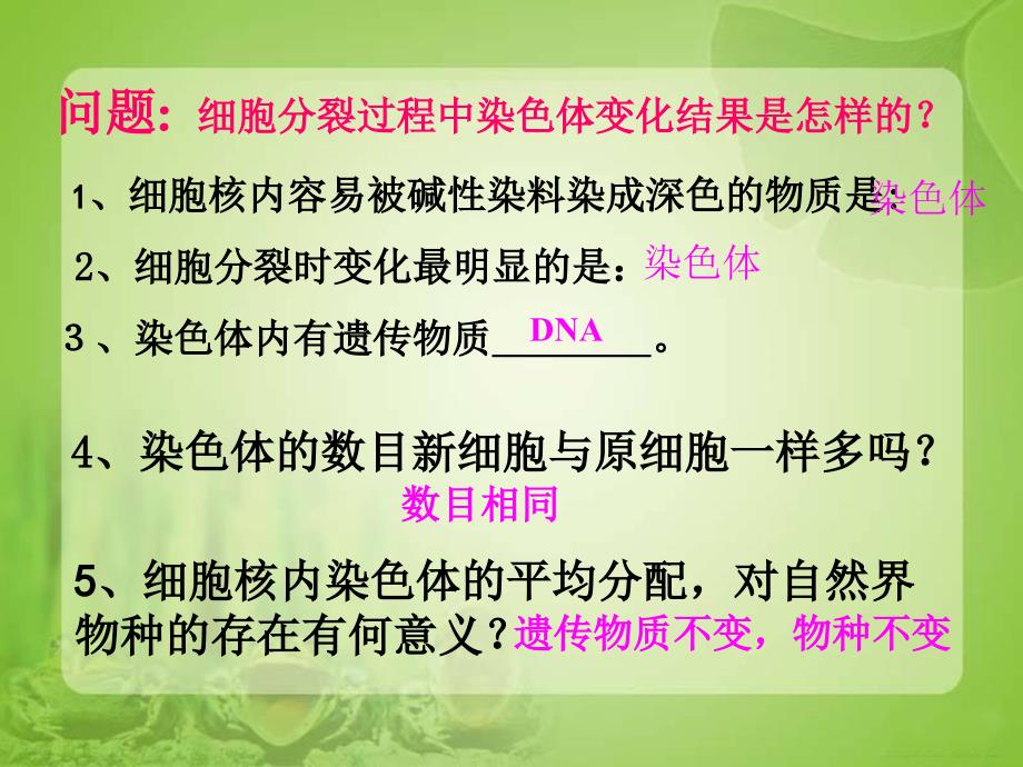 细胞分化形成组织1_第4页