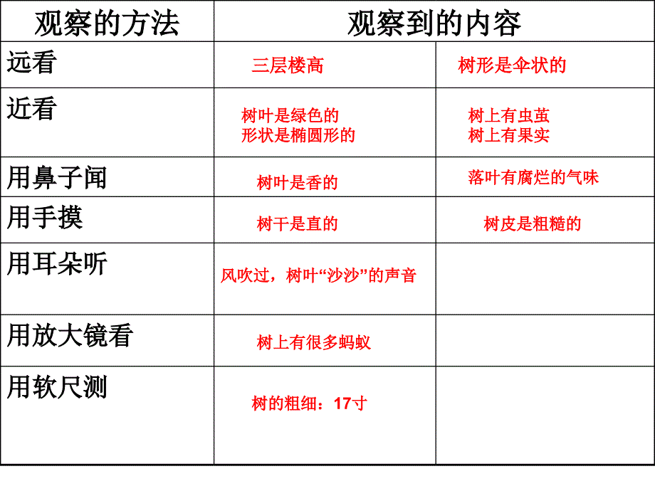 2校园的树木_第2页