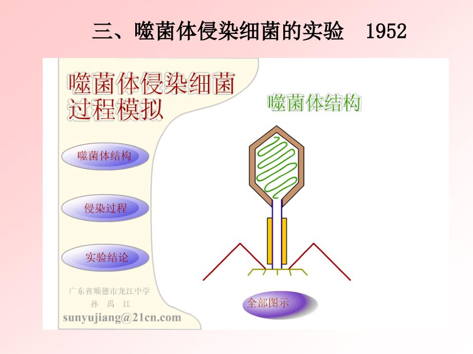 32DNA分子结构_第1页