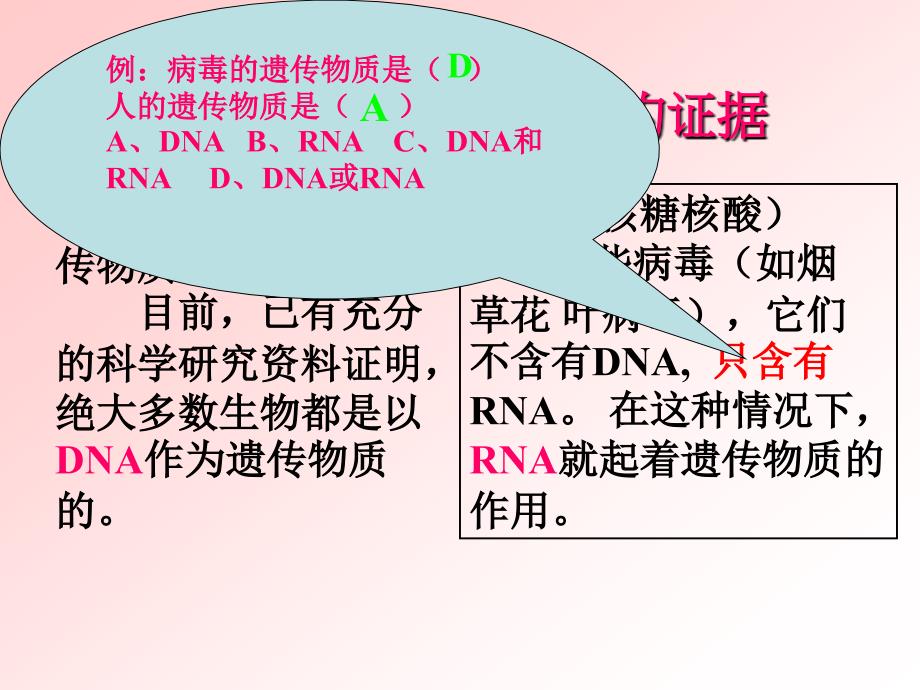 32DNA分子结构_第4页