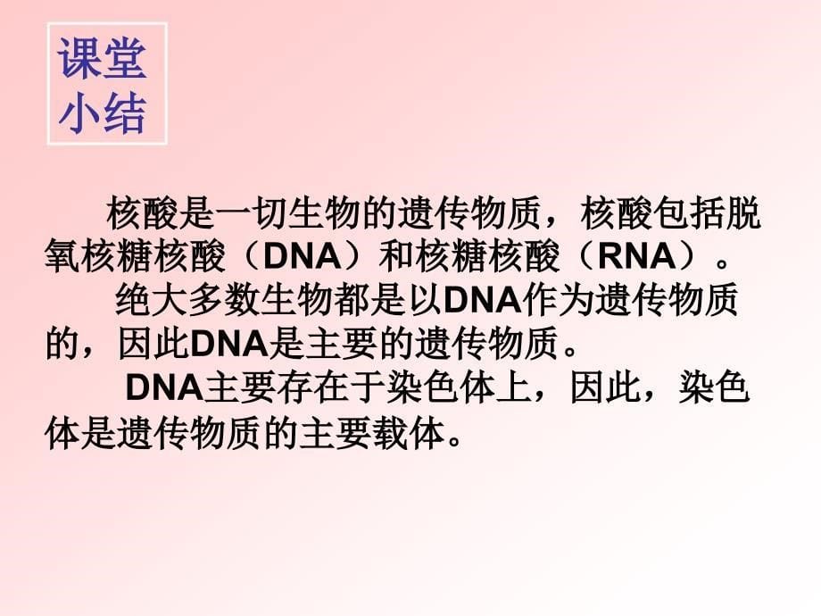 32DNA分子结构_第5页