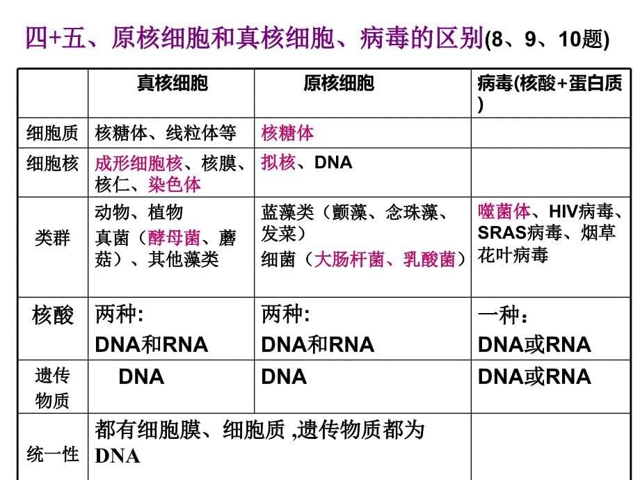 高中生物必修一第一章至第三章复习课件.ppt_第5页