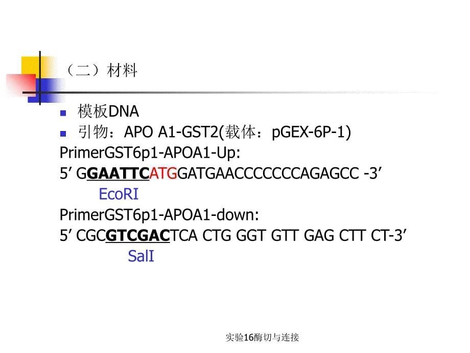 实验16酶切与连接_第5页