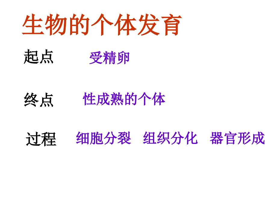 被子植物个体发育课件(较好).ppt_第2页