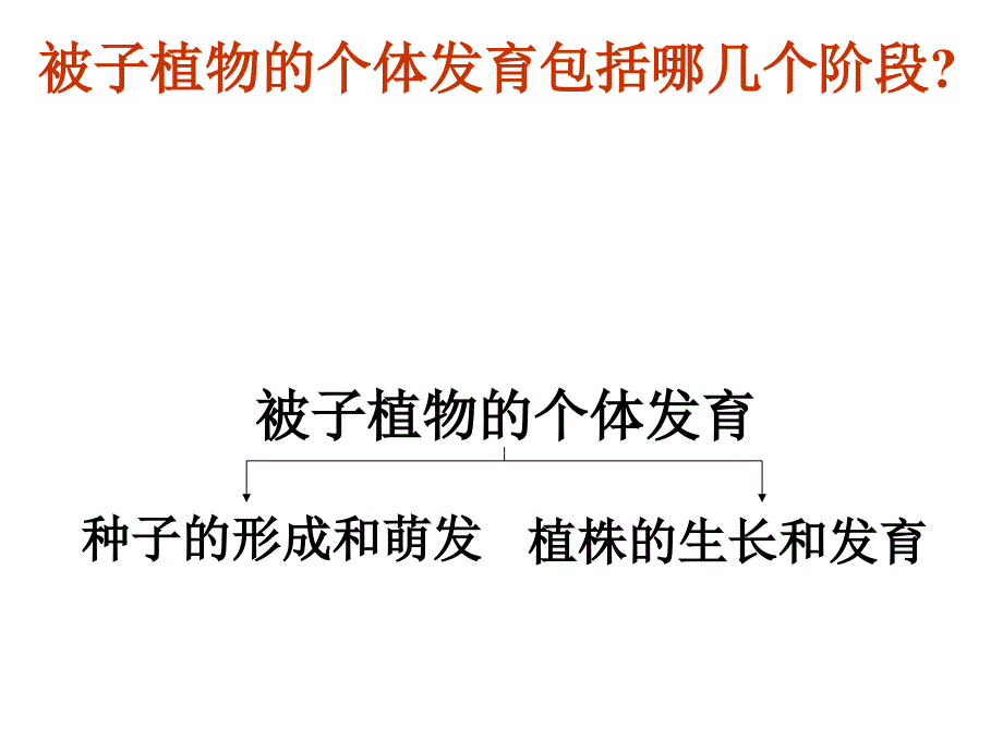 被子植物个体发育课件(较好).ppt_第3页