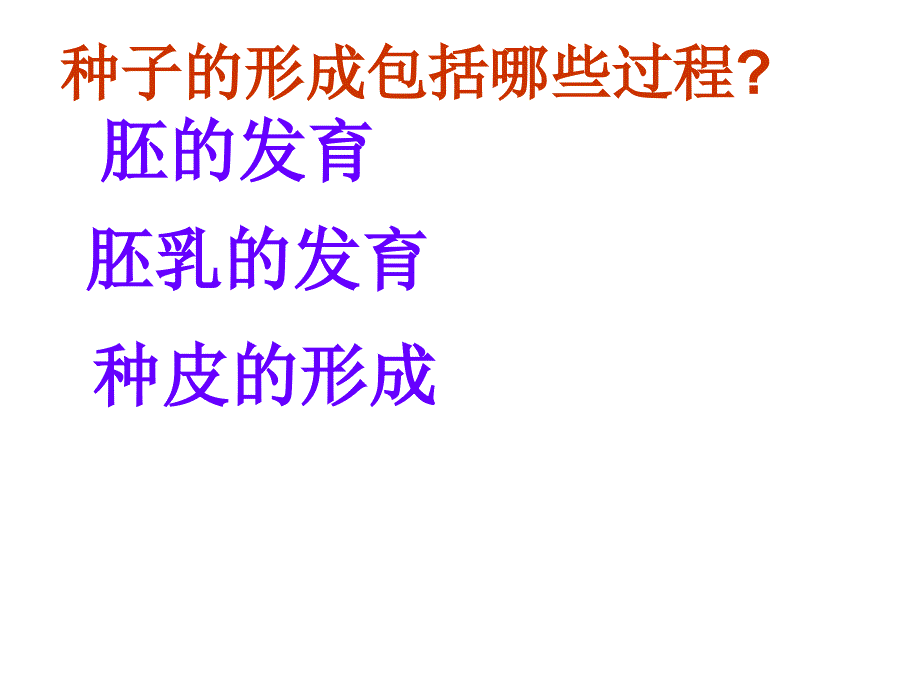 被子植物个体发育课件(较好).ppt_第4页