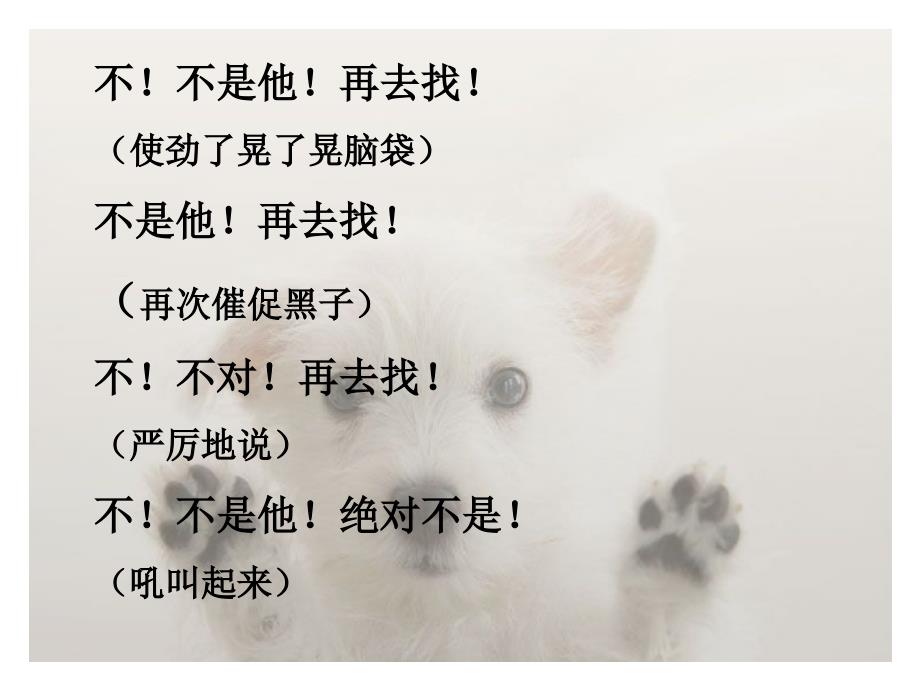 军犬黑子课件_第4页