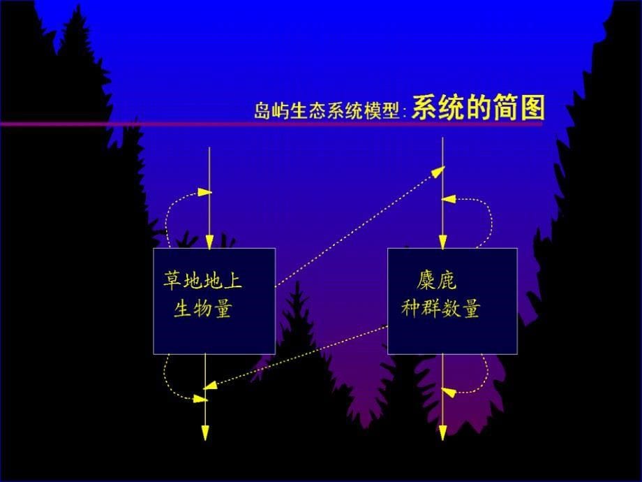 生态系统模拟方法_第5页