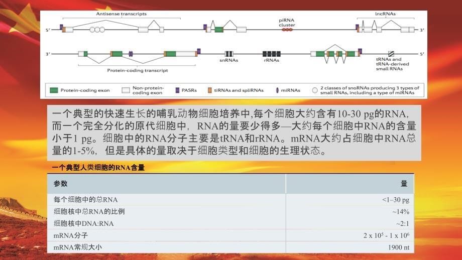 RNA-seq研究方法与策略-zzz课件_第5页