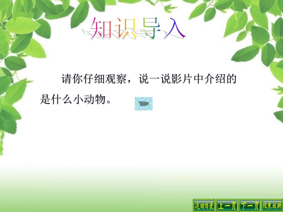 教科小学科学三上《2.2、蜗牛(一)》PPT课件(8)_第3页