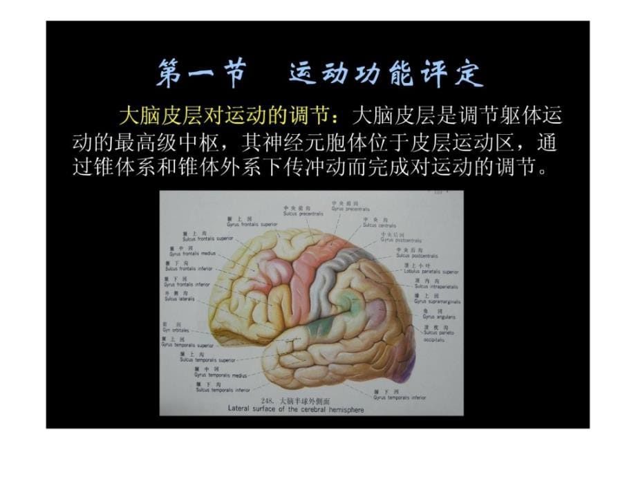 整理版]10康复医学评定课件_第5页