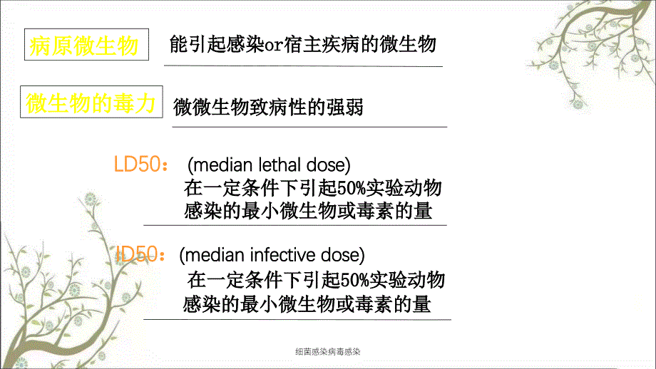 细菌感染病毒感染_第3页