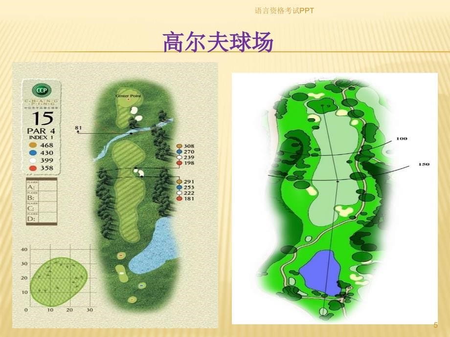 高尔夫基础知识_第5页