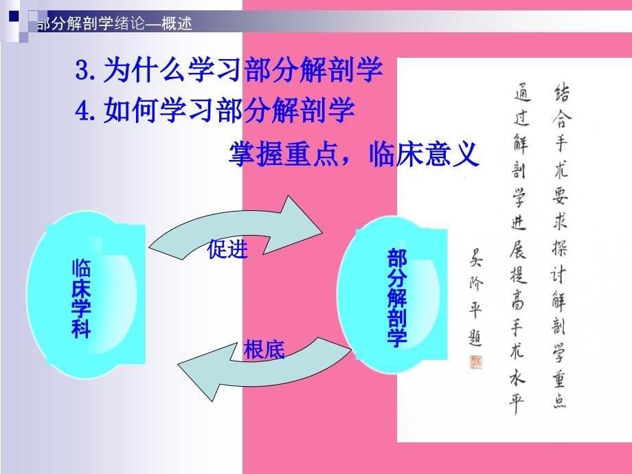 人体结构头部ppt课件_第5页