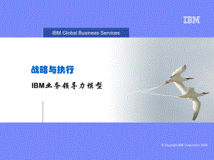 战略与执行IBM业务领导力模型概述(67张)课件