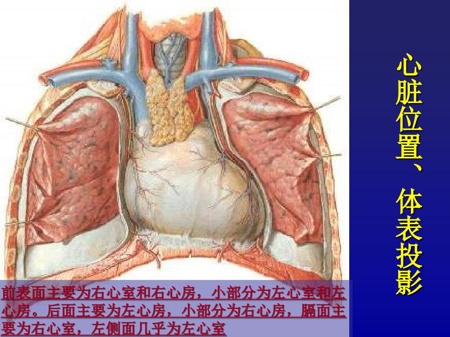 《心血管检查》PPT课件_第4页