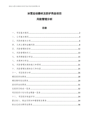 冰雪运动器材及防护用品项目风险管理分析【参考】