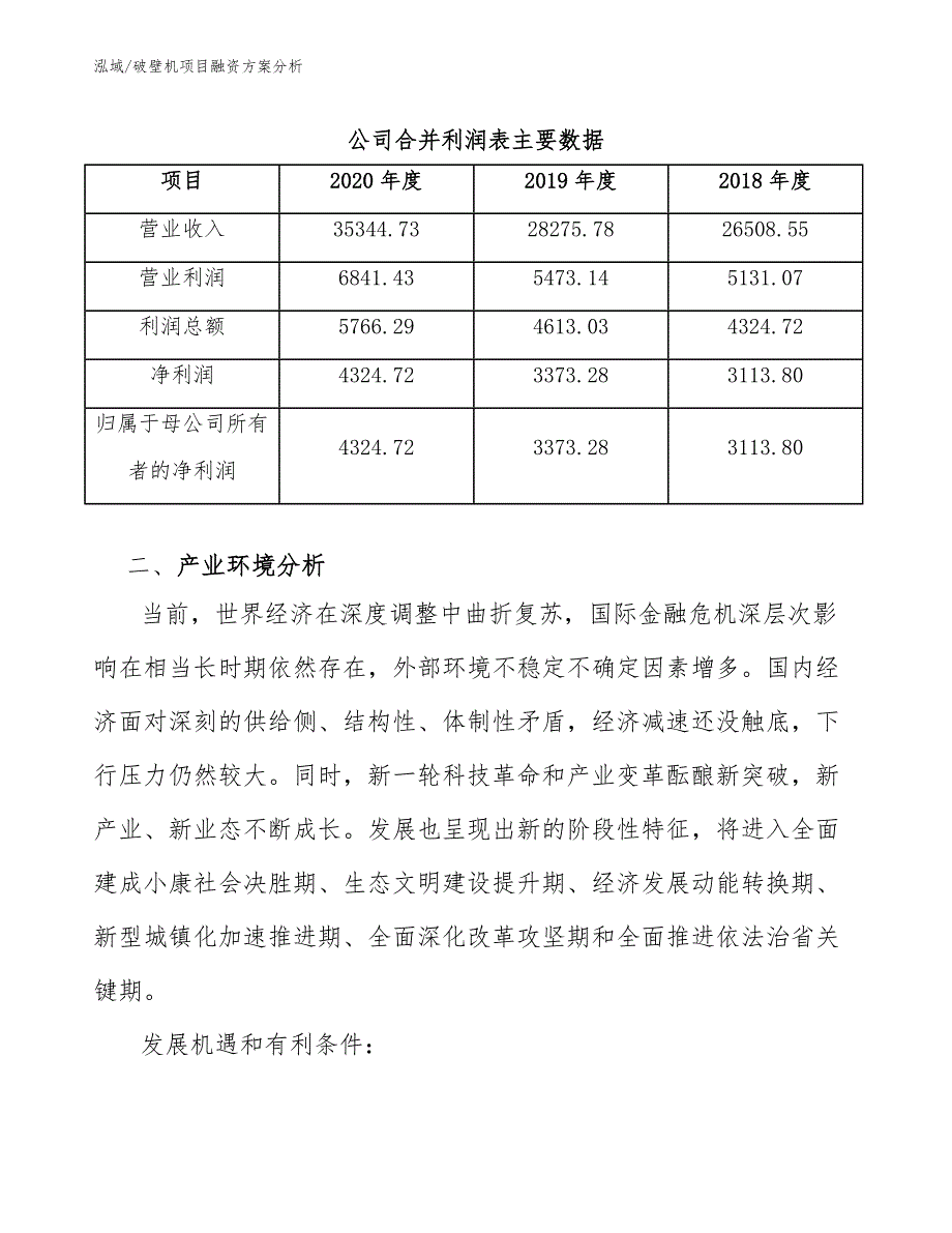 破壁机项目融资方案分析（范文）_第4页